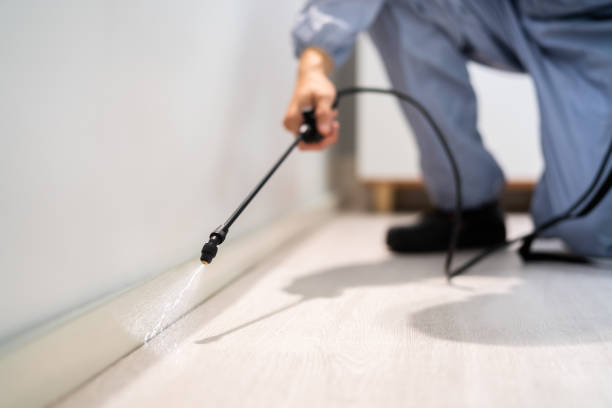 Licensed Pest Control service in Lewiston, MN - Show Me Pest Control
